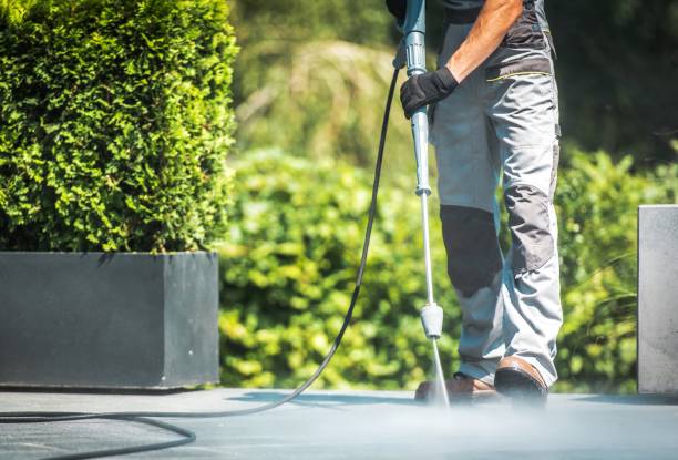 Best Driveway Pressure Washing  in Essex, IL