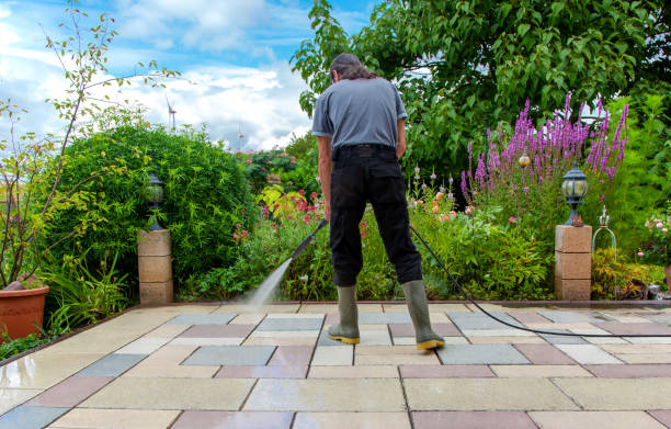 Best Fence Cleaning  in Essex, IL